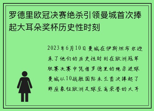 罗德里欧冠决赛绝杀引领曼城首次捧起大耳朵奖杯历史性时刻